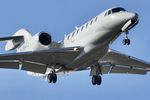 N784XJ photo, click to enlarge