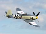 N15S @ KOSH - Sea Fury zx - by Florida Metal