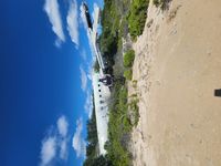 N17320 - In the Bushes in Great Inagua Bahamas - by Randolph Burrows