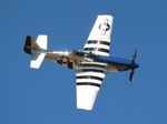 N351DT @ KNIP - P-51D Crazy Horse 2 zx - by Florida Metal
