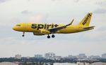 N623NK @ KFLL - NKS A320 yellow zx SJO-FLL - by Florida Metal