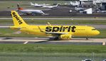 N623NK @ KTPA - NKS A320 yellow zx TPA-ORD - by Florida Metal