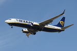 EI-DCP photo, click to enlarge EI-DCP photo, click to enlarge