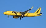 N649NK @ KTPA - NKS A320 yellow zx FLL-TPA - by Florida Metal