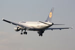 D-AIQC @ EHAM - at eham - by Ronald