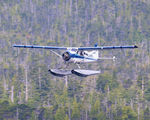 N67673 - TAQUAN AIR - by Terry Green
