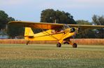 N98700 @ C77 - Piper J3C-65 - by Mark Pasqualino