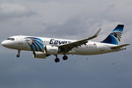 SU-GFP photo, click to enlarge