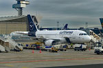 D-AIBG photo, click to enlarge