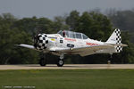 N991GM @ KLAL - North American AT-6C Texan  C/N 88-17575, N991GM - by Dariusz Jezewski www.FotoDj.com