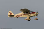 N2390P @ KLAL - Piper PA-22-150 Tri-Pacer  C/N 22-2781, N2390P - by Dariusz Jezewski www.FotoDj.com