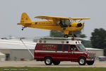 N35547 @ KLAL - Piper J3C-65 Cub  C/N 6452, NC35547 - by Dariusz Jezewski www.FotoDj.com