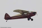 N38055 @ KLAL - Piper J5A Cub Cruiser C/N 5-870, N38055