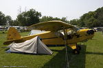 N3920A @ KLAL - Piper J3C-65 Cub  C/N 4949, NC3920A