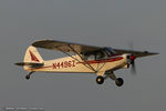 N4496Z @ KLAL - Piper PA-18-150 Super Cub  C/N 18-8851, N4496Z