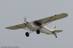 N78532 @ KLAL - Piper PA-12 Super Cruiser  C/N 735934, N78532 - by Dariusz Jezewski www.FotoDj.com