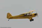 N98406 @ KLAL - Piper J3C-65 Cub  C/N 18593, NC98406