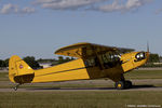 N3380N @ KOSH - Piper J3C-65 Cub  C/N 22580, N3380N - by Dariusz Jezewski www.FotoDj.com