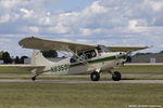 N83591 @ KOSH - Aeronca 7AC Champion  C/N 7AC-2267, N83591