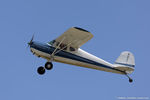 N9599D @ KOSH - Cessna 140  C/N 10204, N9599D - by Dariusz Jezewski www.FotoDj.com