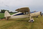 N77645 @ C55 - Fairchild 24R-46A - by Mark Pasqualino