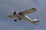N1373B @ KOSH - Luscombe 8F Silvaire Deluxe  C/N 6000, NC1373B - by Dariusz Jezewski www.FotoDj.com