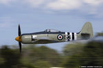 N15S @ KOSH - Hawker Sea Fury FB.11  C/N 41H/696792, NX15S