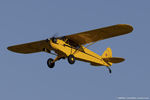 N70955 @ KOSH - Piper J3C-65 Cub  C/N 17980, NC70955