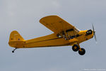 N70561 @ KOSH - Piper J3C-65 Cub  C/N 17570, N70561 - by Dariusz Jezewski www.FotoDj.com