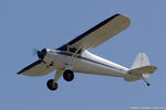 N71836 @ KOSH - Luscombe 8A Luscome Master  C/N 3263, N71836