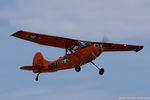 N53601 @ KOSH - Cessna O-1A Bird Dog  C/N 22981, N53601 - by Dariusz Jezewski www.FotoDj.com