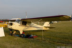 N18336 @ KOSH - Taylorcraft A  C/N 69, NC18336 - by Dariusz Jezewski www.FotoDj.com