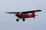 N808BW @ C55 - Champion 7GCB - by Mark Pasqualino