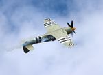 N15S @ KOSH - Sea Fury zx - by Florida Metal