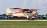 N2499M @ C77 - Piper PA-12 - by Mark Pasqualino