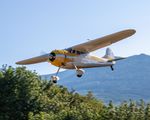 N195N @ 3W5 - 2024 CONCRETE FLY-IN - by Terry Green
