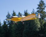 N99339 @ 3W5 - 2024 CONCRETE FLY-IN - by Terry Green