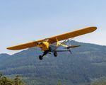 N4957H @ 3W5 - 2024 CONCRETE FLY-IN - by Terry Green