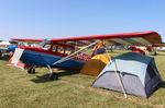N41807 @ KOSH - Bellanca 7KCAB - by Mark Pasqualino