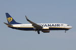EI-DHC photo, click to enlarge EI-DHC photo, click to enlarge