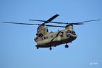 D-472 @ EHGR - At Gilze-Rijen. - by Jef Pets