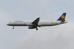 D-AIRC photo, click to enlarge D-AIRC photo, click to enlarge