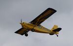N1950D @ KOSH - American Champion 7GCBC - by Mark Pasqualino