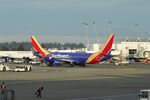 N8873S @ KSEA - SEA 2024. - by Clayton Eddy