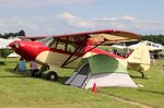 N7504H @ KOSH - Piper PA-12 - by Mark Pasqualino