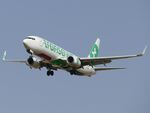 PH-HXD @ GMMX - Brussels (BRU)	Marrakesh (RAK)	HV9263 - by Jean Christophe Ravon - FRENCHSKY