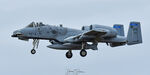 80-0217 @ KPSM - CLAW23 w/the 74th FS - by Topgunphotography