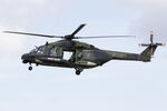 79 10 @ EGVA - RIAT 24 - by Roberto Cassar