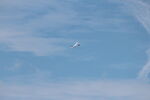 N30HH @ 2OH9 - 2024 Caesar Creek Youth Soaring Association Youth Education Camp