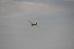 N2615H @ 2OH9 - 2024 Caesar Creek Youth Soaring Association Youth Education Camp